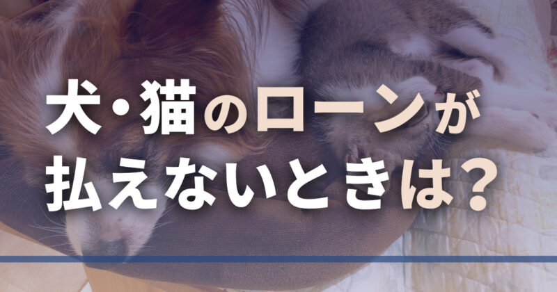 犬・猫のローンが払えない